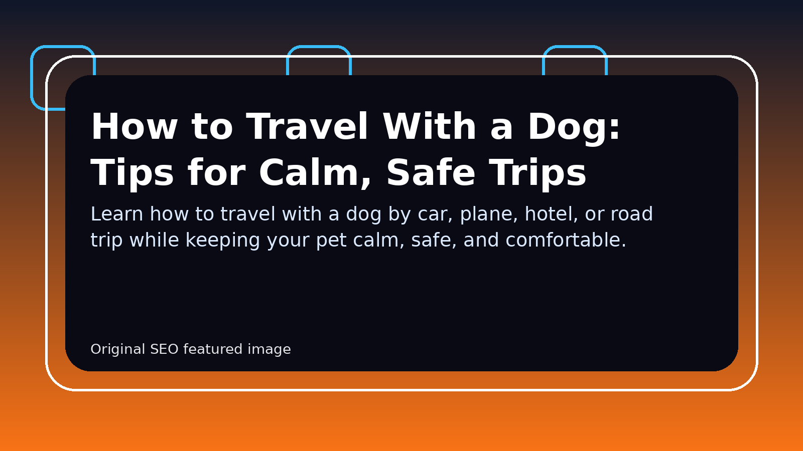 How to Travel With a Dog: Tips for Calm, Safe Trips